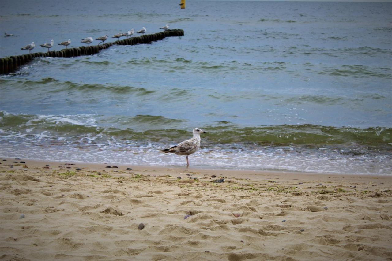 Prima Playa Miedzyzdroje Exterior foto